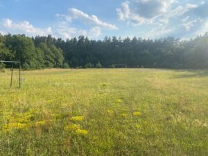 WhatsApp Bild 2024-06-26 um 20.51.01_00db3070