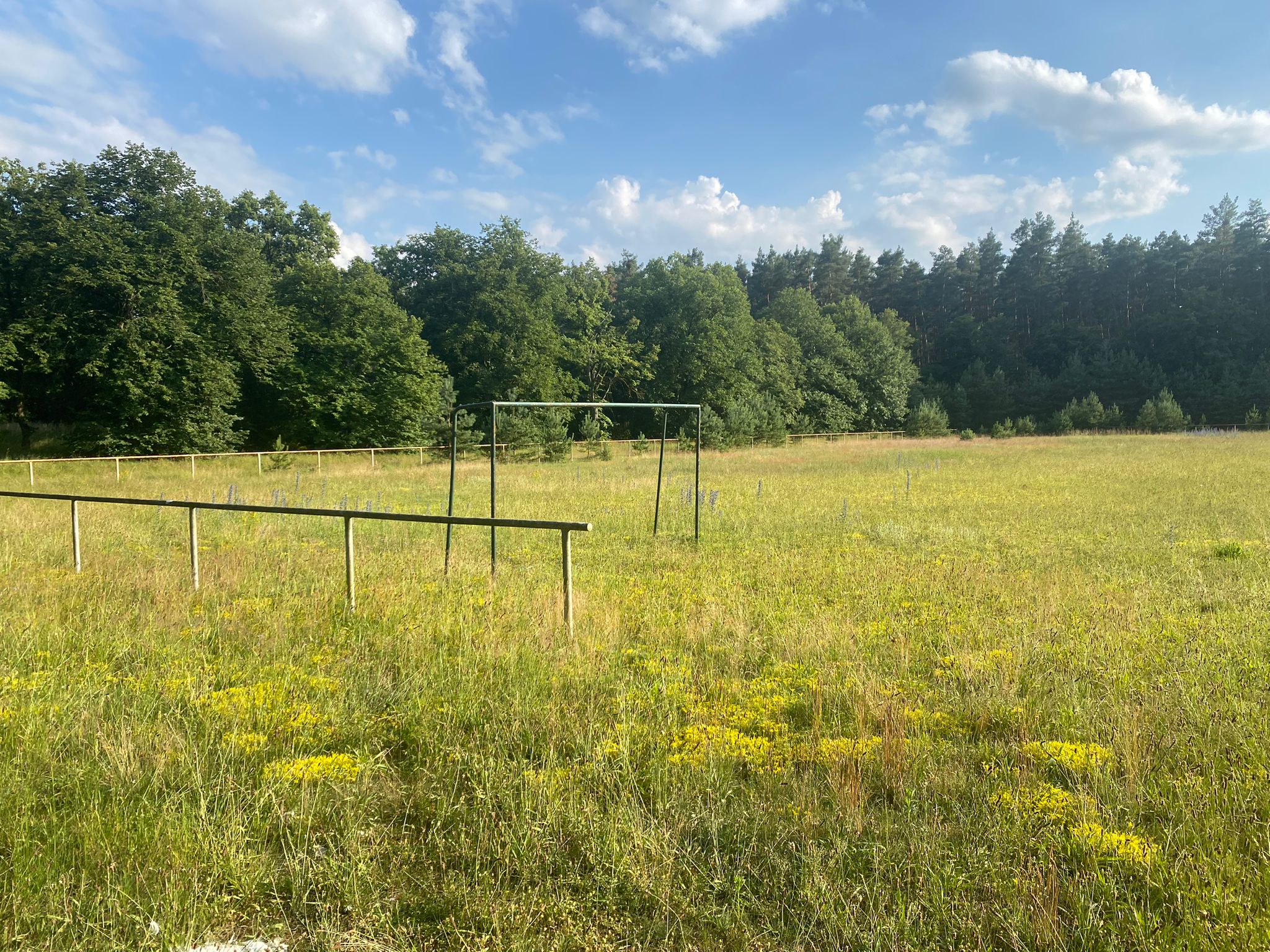 WhatsApp Bild 2024-06-26 um 20.51.02_690b3b2f