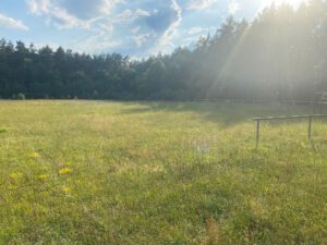 WhatsApp Bild 2024-06-26 um 20.51.02_e7a7c127