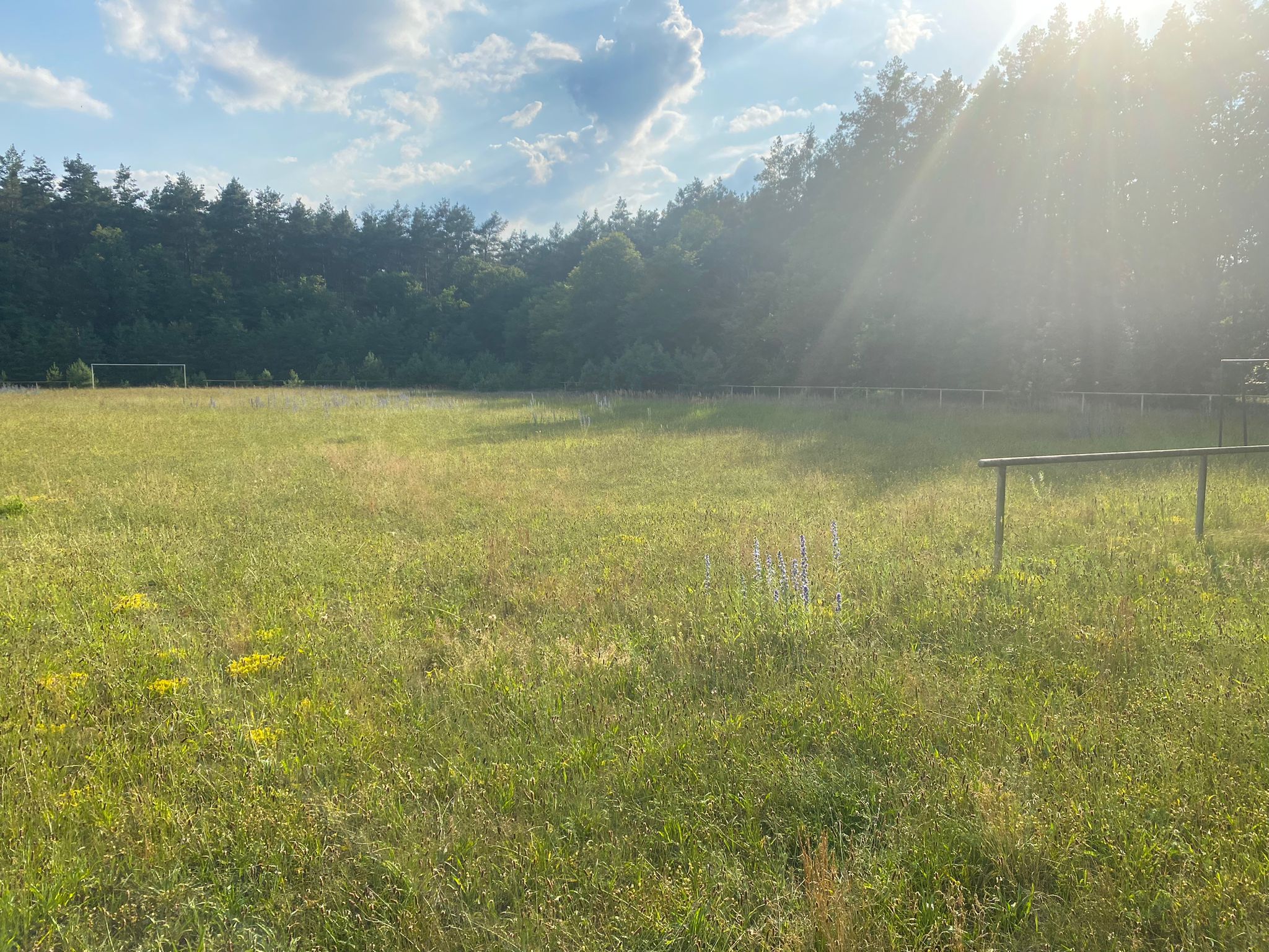 WhatsApp Bild 2024-06-26 um 20.51.02_e7a7c127