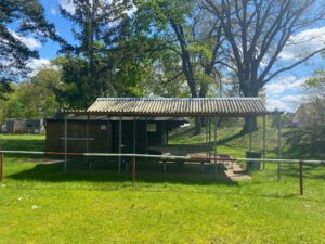 WhatsApp Bild 2024-04-21 um 17.39.01_c9bf45bd