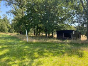 WhatsApp Bild 2024-06-29 um 15.50.01_9f35cea7