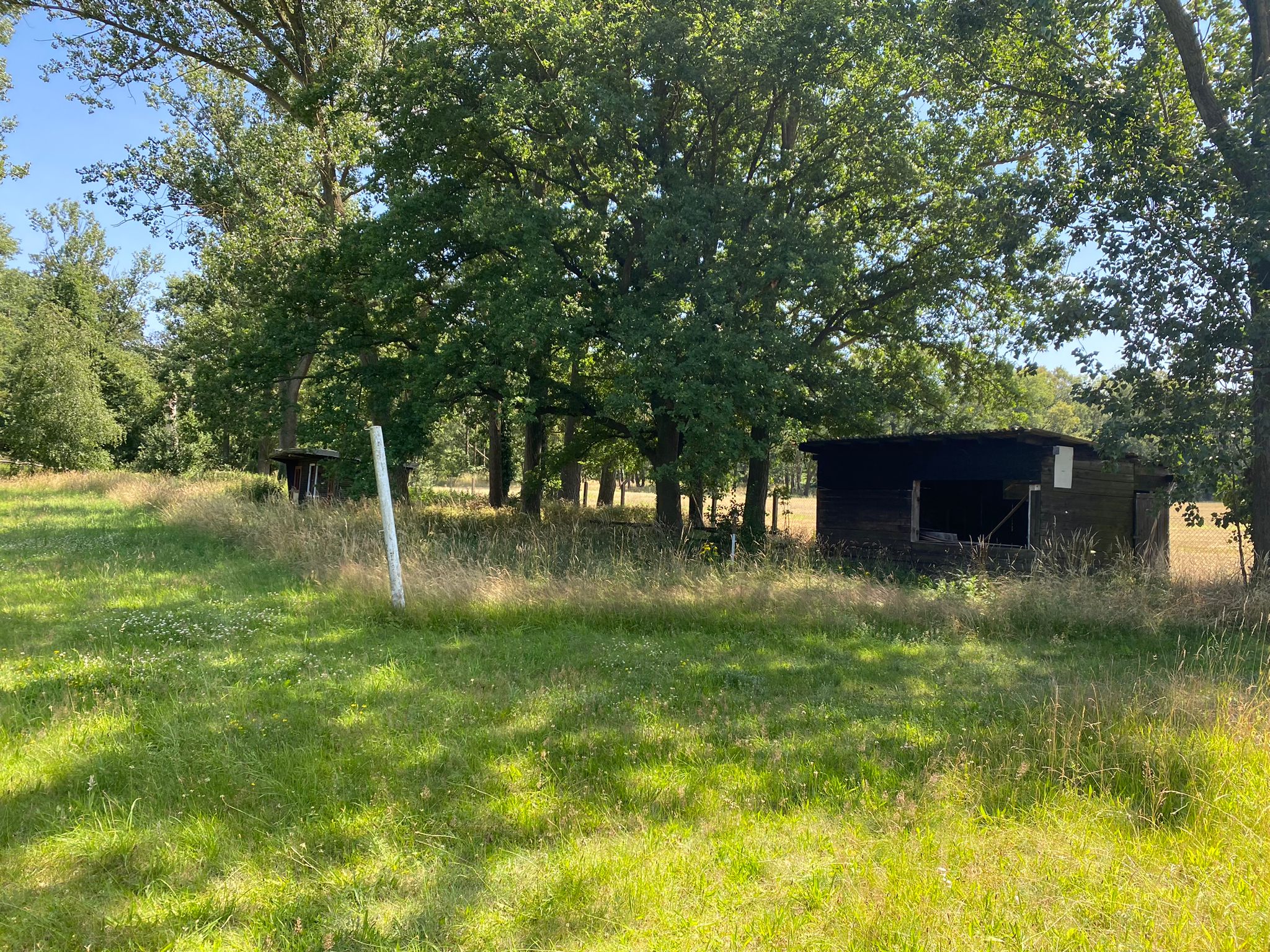 WhatsApp Bild 2024-06-29 um 15.50.01_9f35cea7