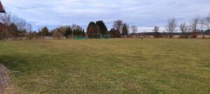 WhatsApp Bild 2025-03-21 um 16.43.22_1dedc78f